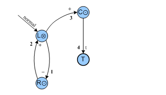 Fig. 1:
              Four-in-Hand Knot